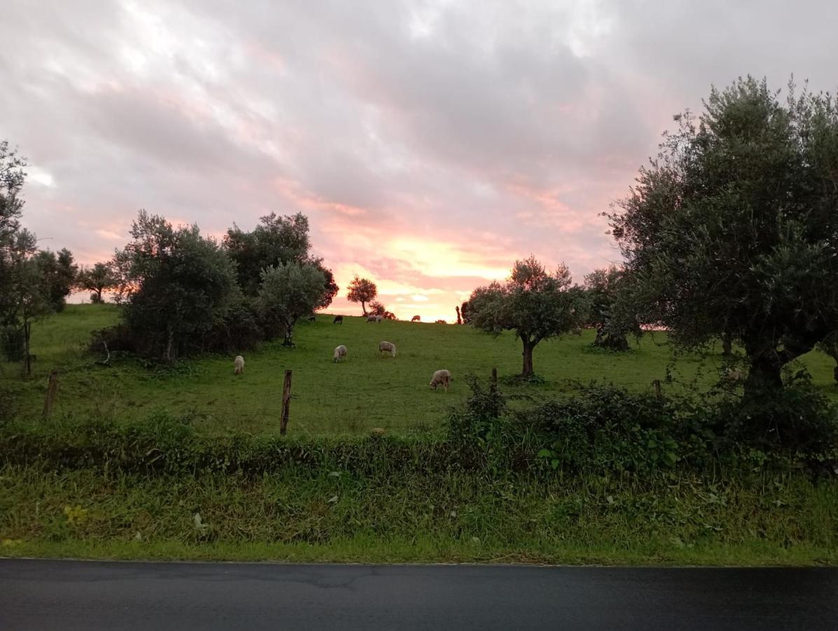 Vila Retiro Da Cegonha Crato Exteriér fotografie